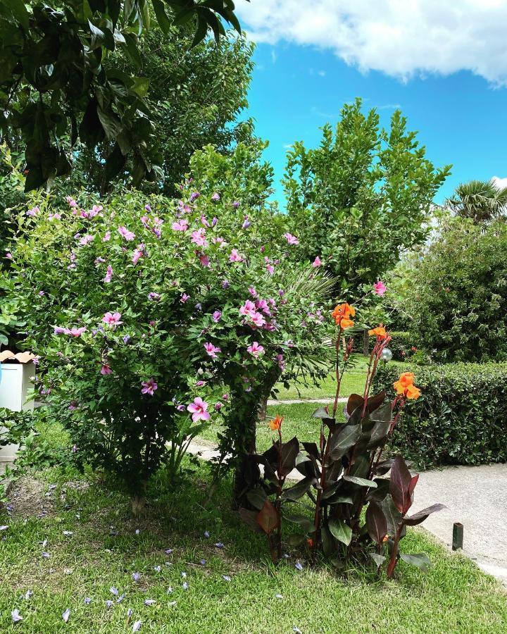 B&B Villa Dei Fiori SantʼEufemia Lamezia Exterior foto